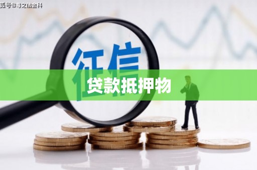 覃塘贷款抵押物