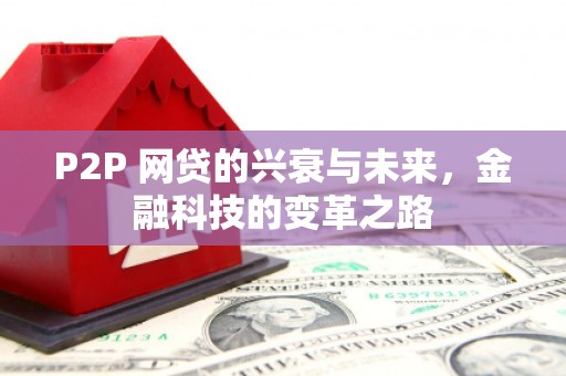 覃塘P2P 网贷的兴衰与未来，金融科技的变革之路