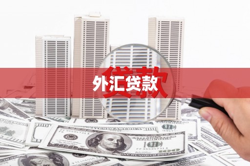覃塘外汇贷款
