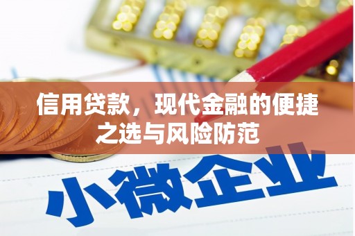 覃塘信用贷款，现代金融的便捷之选与风险防范
