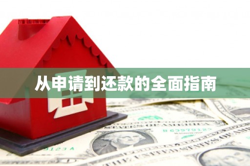 覃塘从申请到还款的全面指南