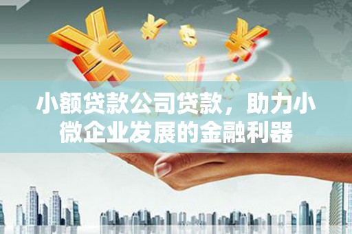 覃塘小额贷款公司贷款，助力小微企业发展的金融利器