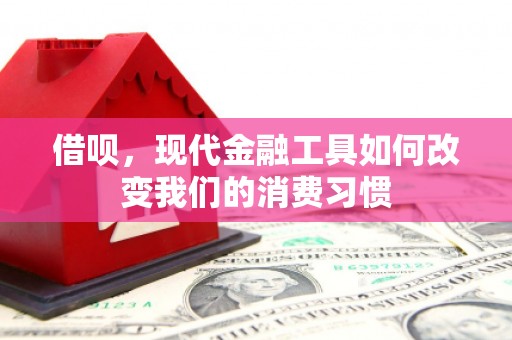 覃塘借呗，现代金融工具如何改变我们的消费习惯