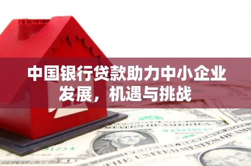 覃塘中国银行贷款助力中小企业发展，机遇与挑战