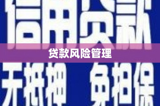 覃塘贷款风险管理