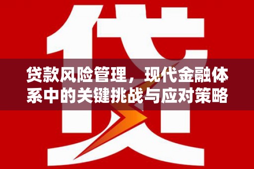 覃塘贷款风险管理，现代金融体系中的关键挑战与应对策略