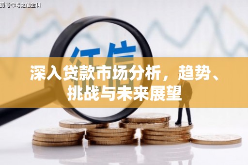 覃塘深入贷款市场分析，趋势、挑战与未来展望