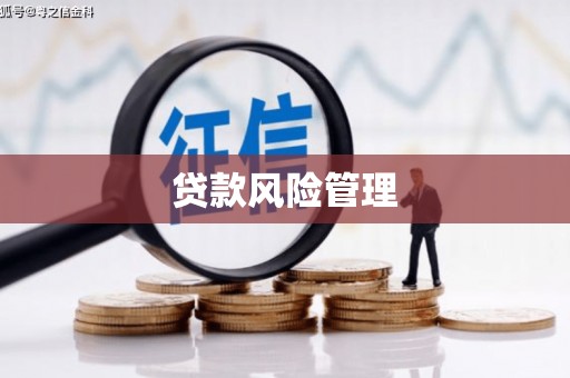 覃塘贷款风险管理