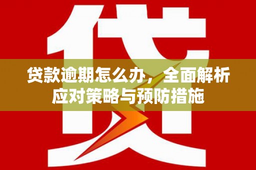 覃塘贷款逾期怎么办，全面解析应对策略与预防措施