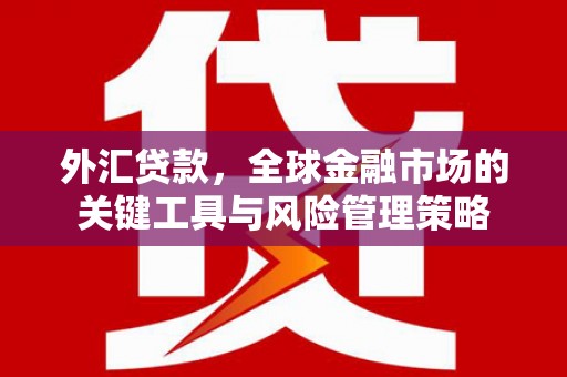 覃塘外汇贷款，全球金融市场的关键工具与风险管理策略