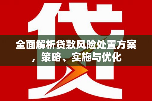 覃塘全面解析贷款风险处置方案，策略、实施与优化