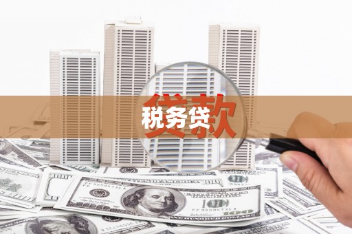 覃塘税务贷