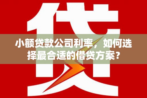 覃塘小额贷款公司利率，如何选择最合适的借贷方案？
