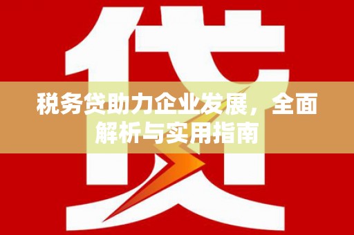覃塘税务贷助力企业发展，全面解析与实用指南