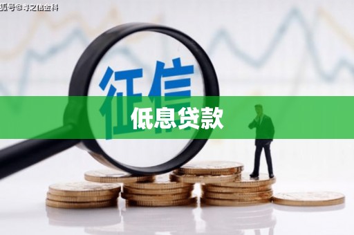 覃塘低息贷款