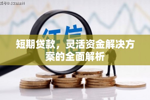 覃塘短期贷款，灵活资金解决方案的全面解析