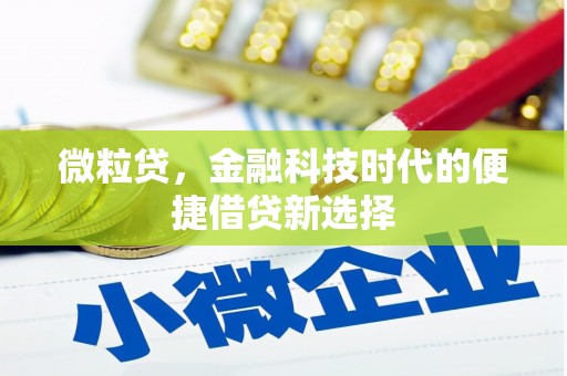 覃塘微粒贷，金融科技时代的便捷借贷新选择