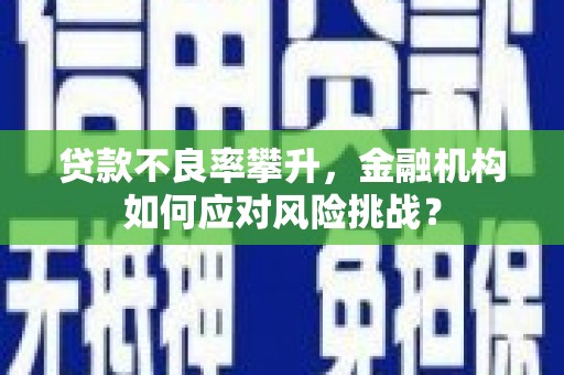 覃塘贷款不良率攀升，金融机构如何应对风险挑战？