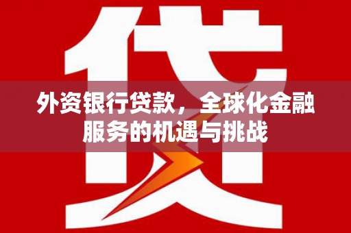 覃塘外资银行贷款，全球化金融服务的机遇与挑战