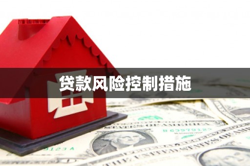 覃塘贷款风险控制措施