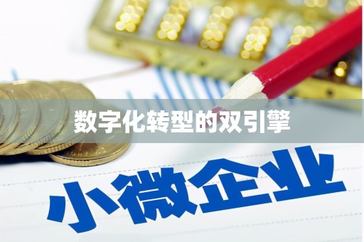 覃塘数字化转型的双引擎