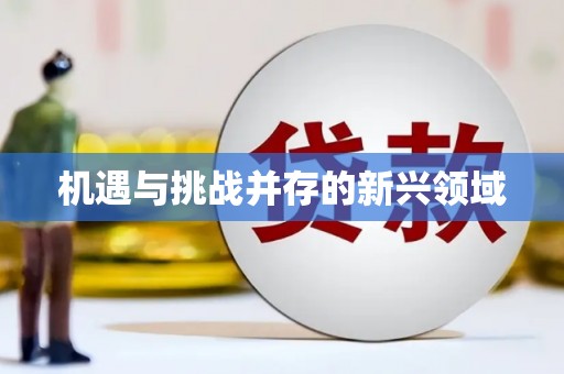 覃塘机遇与挑战并存的新兴领域